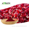 Natural Hibiscus Flower Roselle calyx rose powder extract